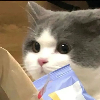 MarbleMaven的头像